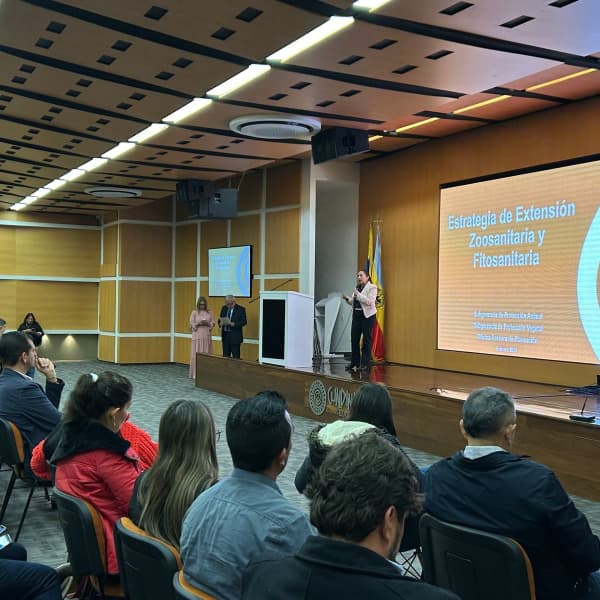 VIVIANA  MENDEZ MANCERA