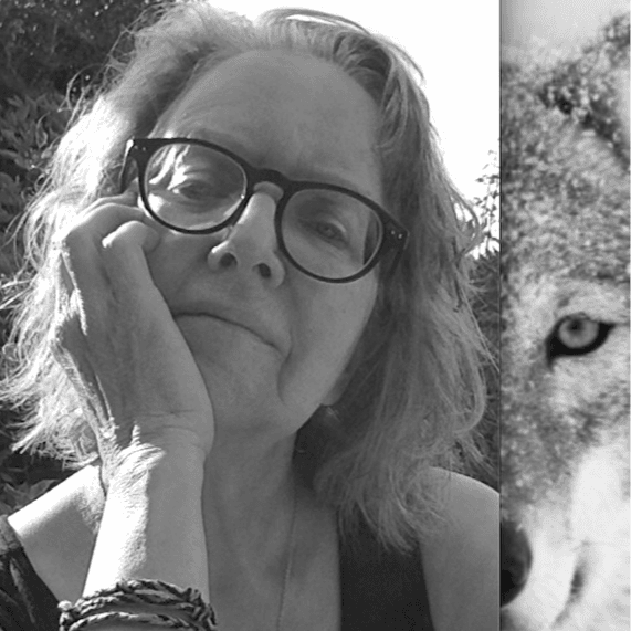 Gitta Wolf
