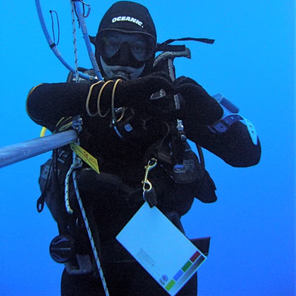 Libelina