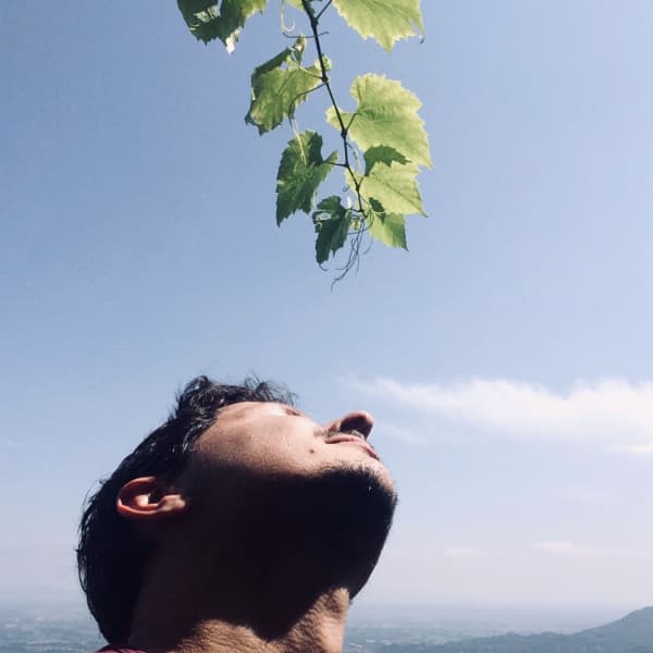 Nicolas Beltramo