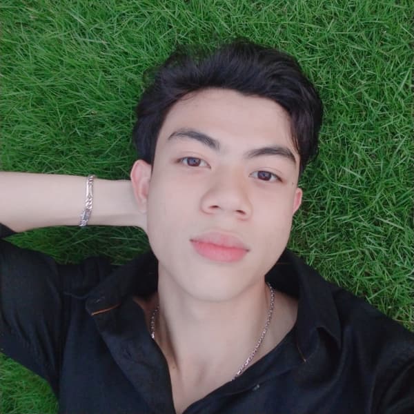Vincent Nguyen