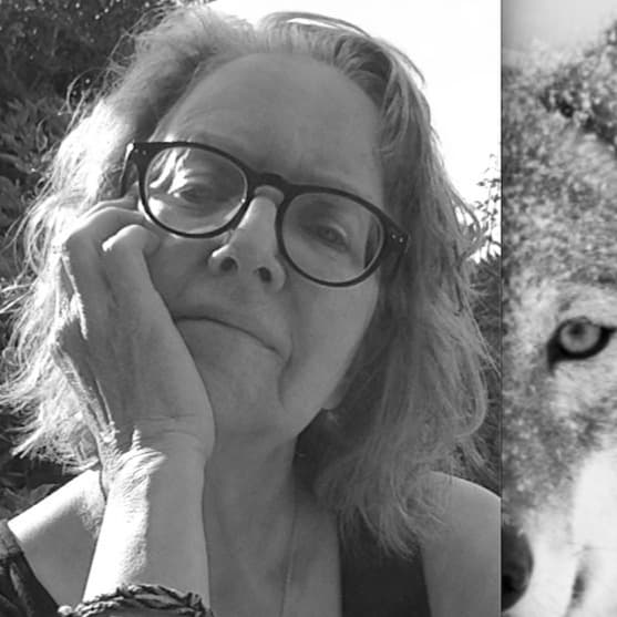 Gitta Wolf